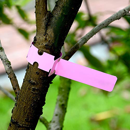 Mziart 200Pcs Plastic Plant Labels Wrap Around Tree Tags, Adjustab...