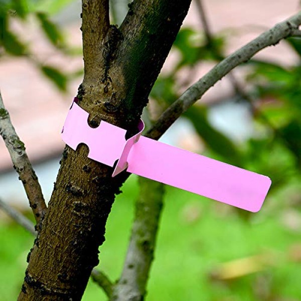 Mziart 200Pcs Plastic Plant Labels Wrap Around Tree Tags, Adjustab...