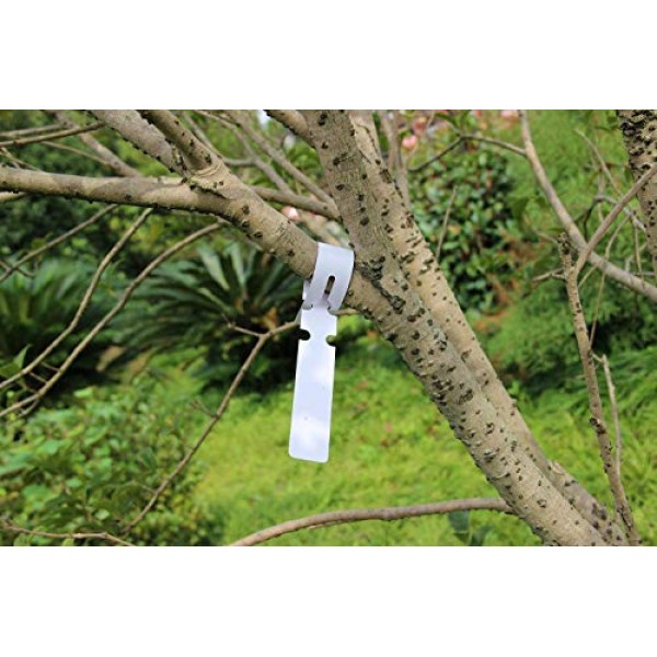 Mziart 200Pcs Plastic Plant Labels Wrap Around Tree Tags, Adjustab...