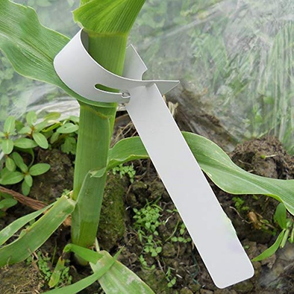 Mziart 200Pcs Plastic Plant Labels Wrap Around Tree Tags, Adjustab...