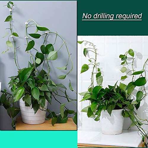 100Pcs Plant Climbing Wall Fixture Clips Invisible Vine Plant Clim...