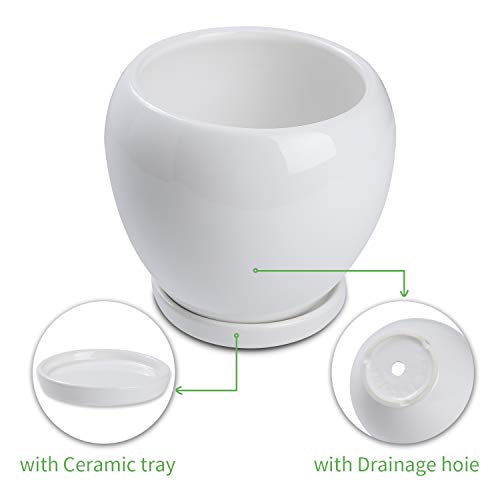 2PCS Ceramic Plant Pot with Drainage Hole Saucer Modern Minimalism...
