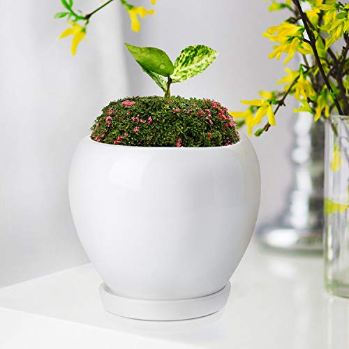 2PCS Ceramic Plant Pot with Drainage Hole Saucer Modern Minimalism...