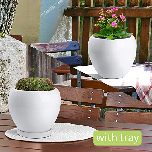 2PCS Ceramic Plant Pot with Drainage Hole Saucer Modern Minimalism...