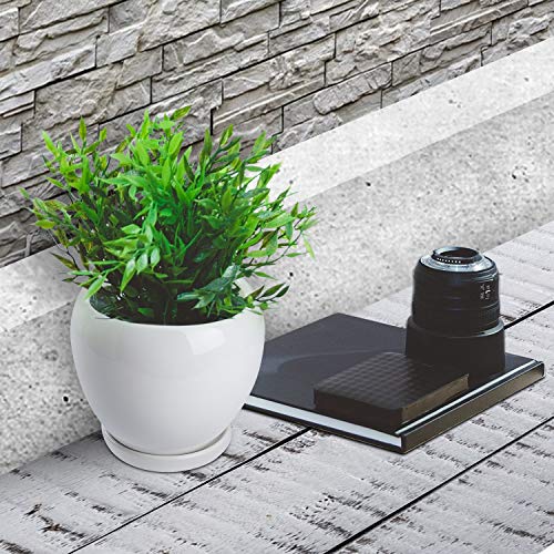2PCS Ceramic Plant Pot with Drainage Hole Saucer Modern Minimalism...
