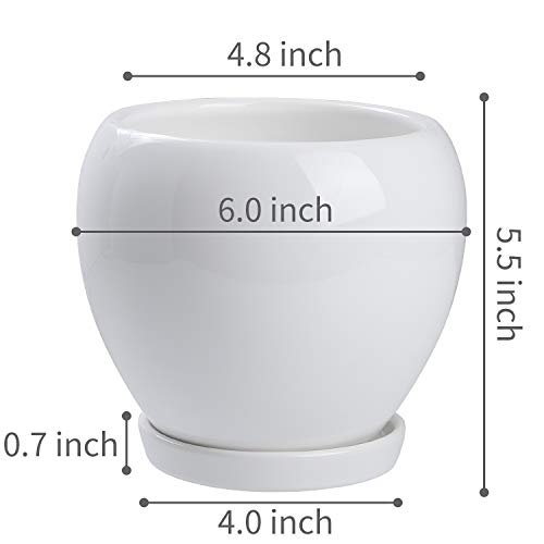 2PCS Ceramic Plant Pot with Drainage Hole Saucer Modern Minimalism...