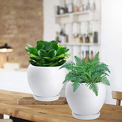2PCS Ceramic Plant Pot with Drainage Hole Saucer Modern Minimalism...
