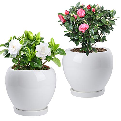 2PCS Ceramic Plant Pot with Drainage Hole Saucer Modern Minimalism...