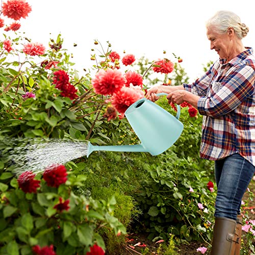 Plastic Watering Can Lightweight Long Spout Watering Pot with Hand...