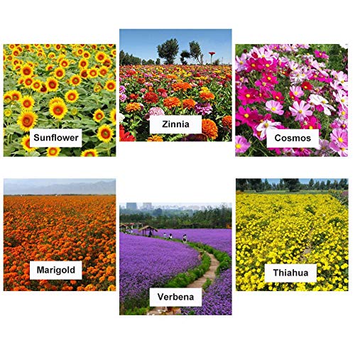 N/Z Aquatic Pond Soil, Organic-Rich Natural Lotus Pond Mud Plant G...