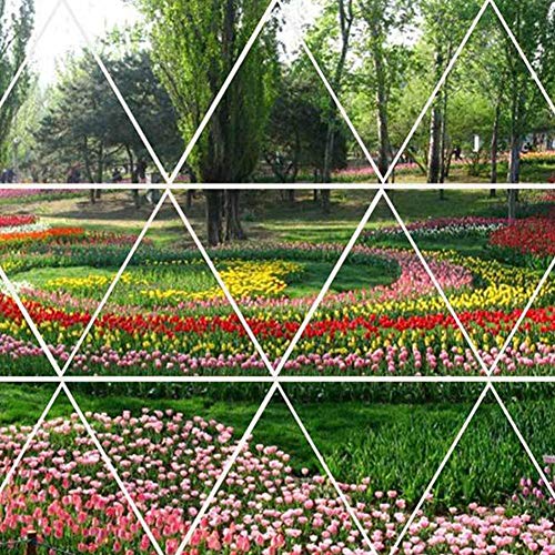 N/Z Aquatic Pond Soil, Organic-Rich Natural Lotus Pond Mud Plant G...
