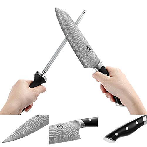 Kitchen Damascus Knife Set, 9-Piece Kitchen Knife Set with Block, ...