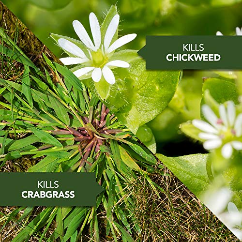 Natria 706500A Grass & Weed Control with Root Kill Herbicide Weed ...
