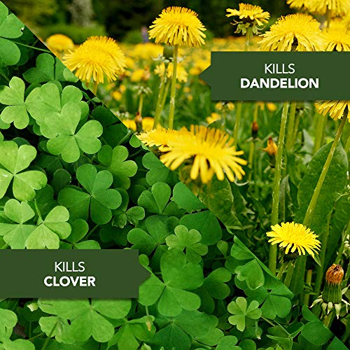 Natria 706500A Grass & Weed Control with Root Kill Herbicide Weed ...