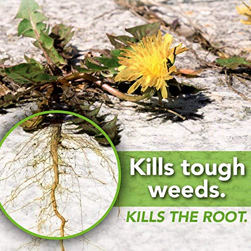 Natria 706510A Grass & Weed Control with Root Kill Herbicide Weed ...