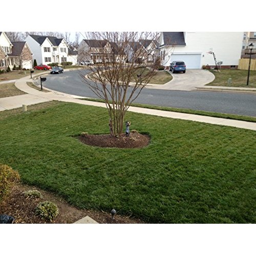 Natural Alternative Fall Lawn Fertilizer 21-0-4 Enriched with Prot...
