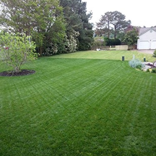 Natural Alternative Fall Lawn Fertilizer 21-0-4 Enriched with Prot...