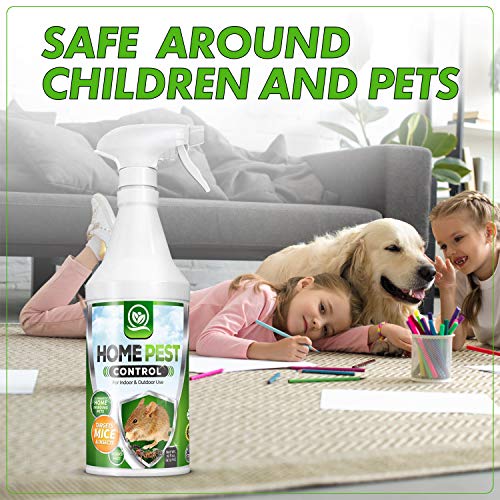 NATURAL OUST Peppermint Oil Mouse Repellent Spray - Roach Ant Spid...