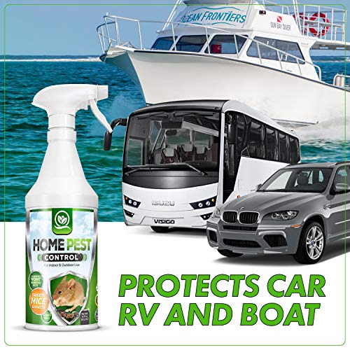 NATURAL OUST Peppermint Oil Mouse Repellent Spray - Roach Ant Spid...