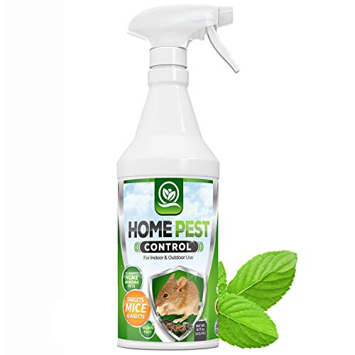NATURAL OUST Peppermint Oil Mouse Repellent Spray - Roach Ant Spid...