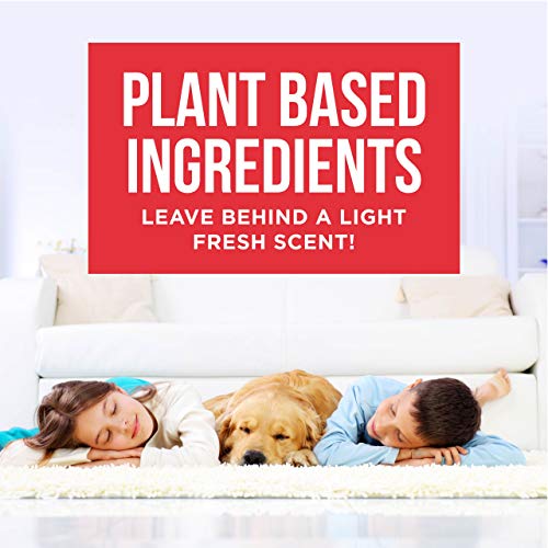 Natural Rapport Pet Stain and Odor Spray - The Only Pet Stain and ...