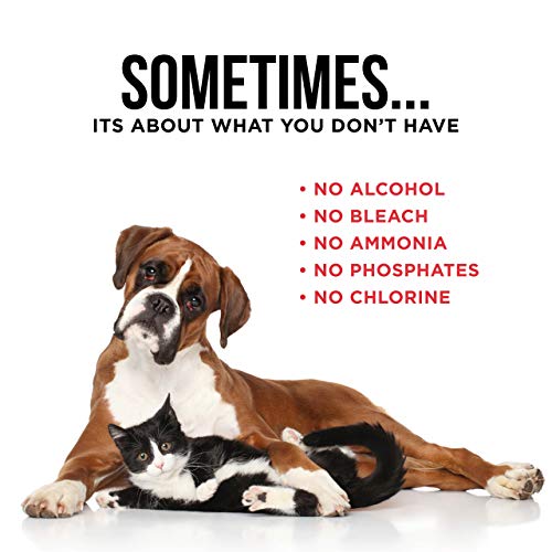 Natural Rapport Pet Stain and Odor Spray - The Only Pet Stain and ...