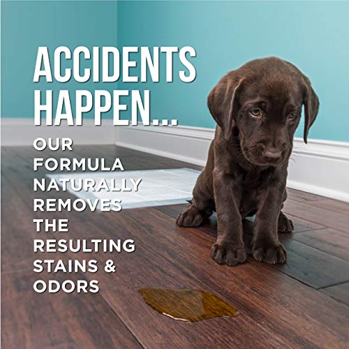 Natural Rapport Pet Stain and Odor Spray - The Only Pet Stain and ...