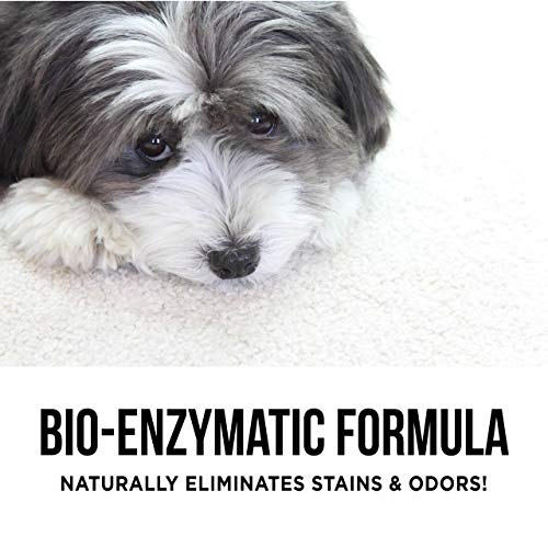 Natural Rapport Pet Stain and Odor Spray - The Only Pet Stain and ...