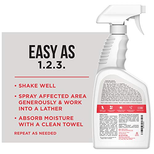 Natural Rapport Pet Stain and Odor Spray - The Only Pet Stain and ...