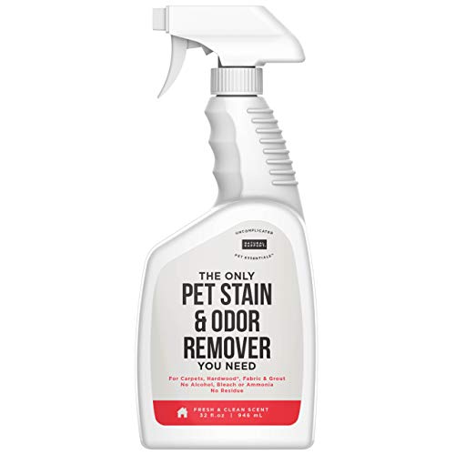 Natural Rapport Pet Stain and Odor Spray - The Only Pet Stain and ...