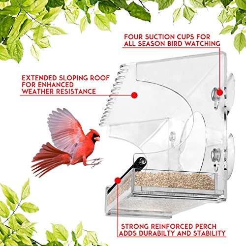 Window Bird Feeder - 2018 Model - Extended Roof - Steel Perch - Sl...