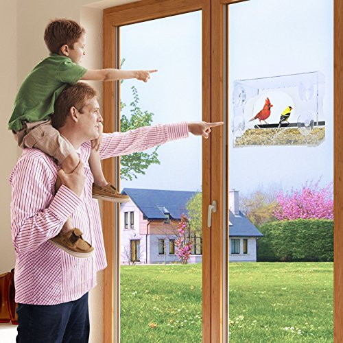 Window Bird Feeder - 2018 Model - Extended Roof - Steel Perch - Sl...