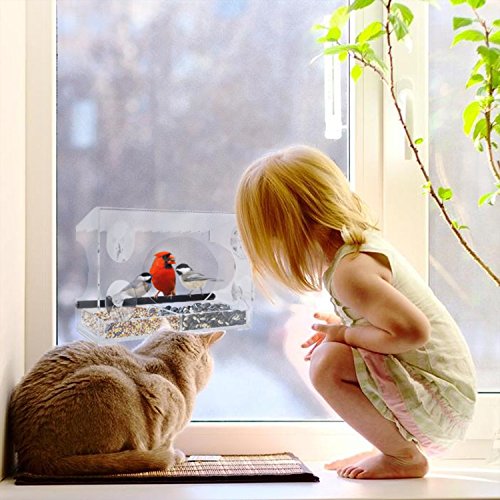 Window Bird Feeder - 2018 Model - Extended Roof - Steel Perch - Sl...