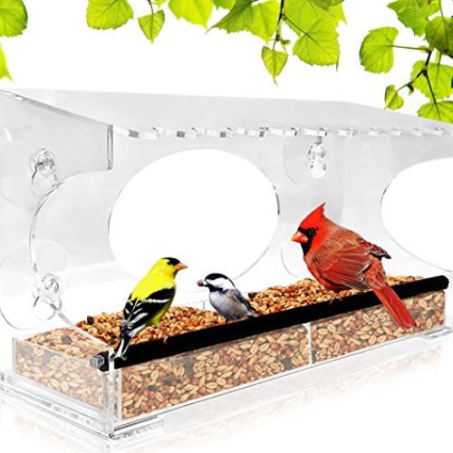 Window Bird Feeder - 2018 Model - Extended Roof - Steel Perch - Sl...