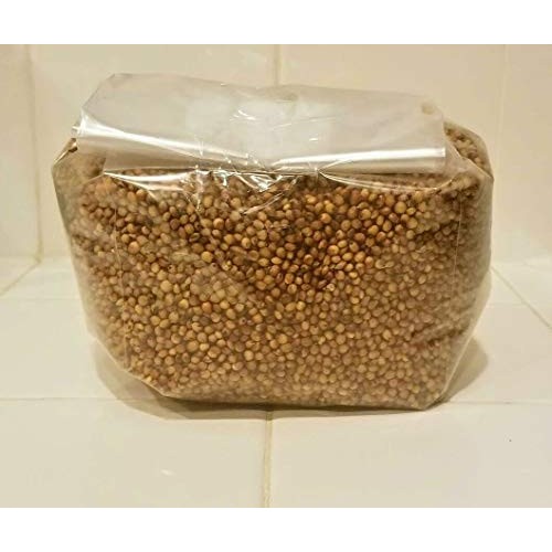 5 Bag of 3 lbs sterilized Grain Berries Substrate, Mushroom Spawn ...