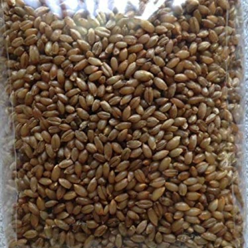 5 Bag of 3 lbs sterilized Grain Berries Substrate, Mushroom Spawn ...
