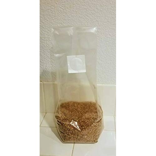 5 Bag of 3 lbs sterilized Grain Berries Substrate, Mushroom Spawn ...