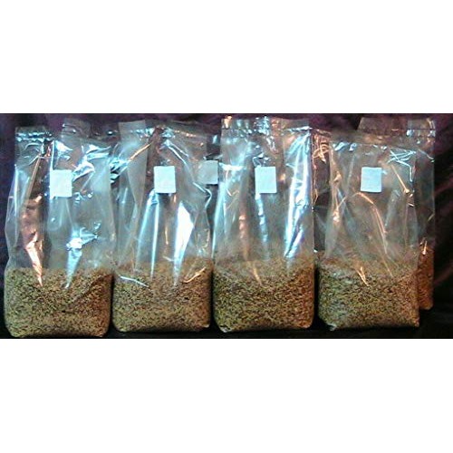 5 Bag of 3 lbs sterilized Grain Berries Substrate, Mushroom Spawn ...