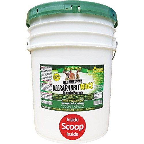 Natures MACE DEERGRN3003 Deer & Rabbit Repellent Concentrate 25 Po...