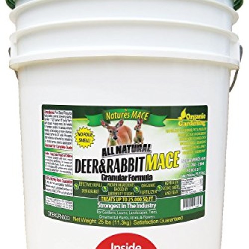 Natures MACE DEERGRN3003 Deer & Rabbit Repellent Concentrate 25 Po...