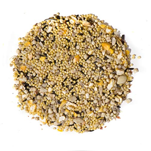 Natures Nuts Waste Free No Sprout Blend - 20 lb.