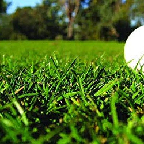 Triple-Play Tall Fescue Grass Seed Blend 1500 sq ft