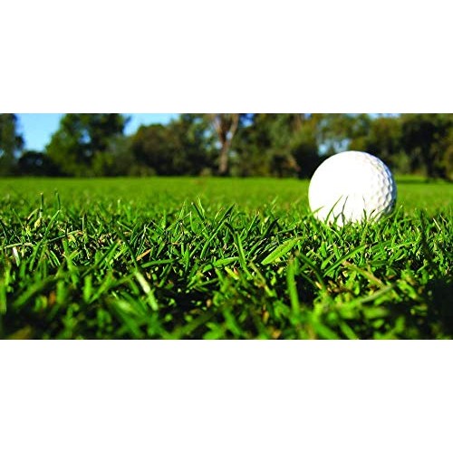 Triple-Play Tall Fescue Grass Seed Blend 1500 sq ft