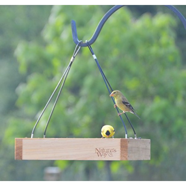 Natures Way Bird Products CWF3 Cedar Platform Tray Bird Feeder, B...