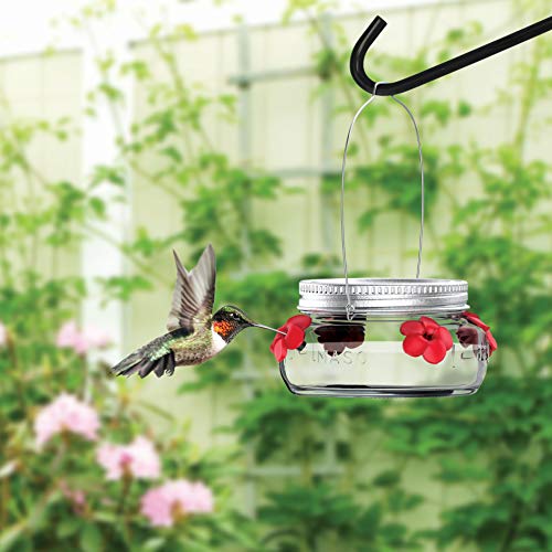 Natures Way Bird Products MJF1 Natures Way Mason Jar Hummingbird...