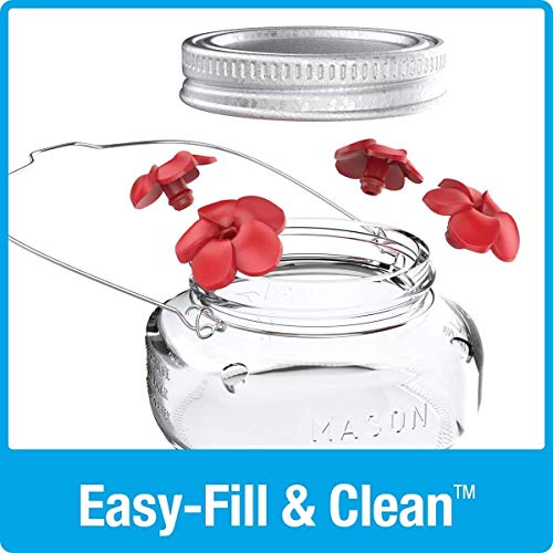 Natures Way Bird Products MJF1 Natures Way Mason Jar Hummingbird...