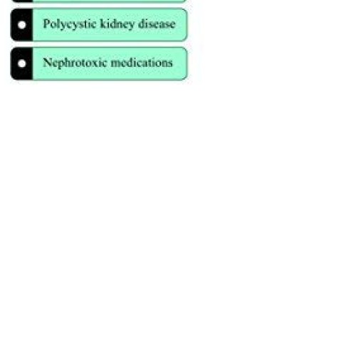 2019 NCLEX-PN Test Prep Questions and Answers Interactive Online S...