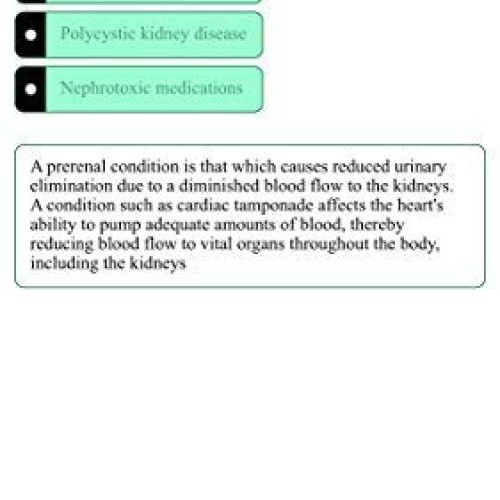 2019 NCLEX-PN Test Prep Questions and Answers Interactive Online S...