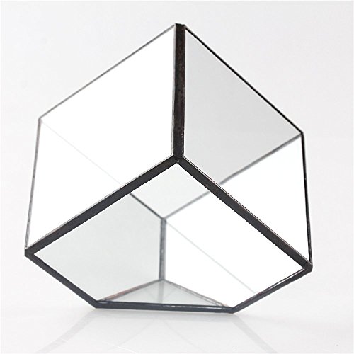 NCYP 3.93 inches Geometric Decorative Terrarium Cube Inclined Clea...