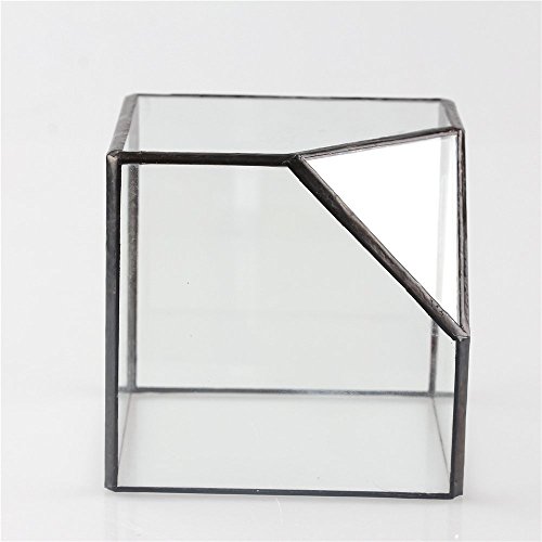 NCYP 3.93 inches Geometric Decorative Terrarium Cube Inclined Clea...